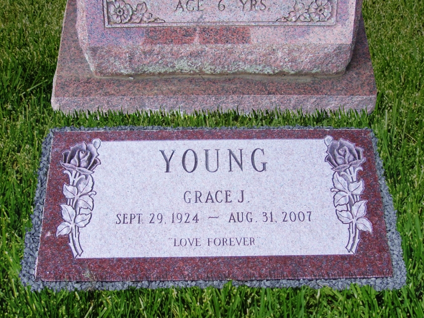 Young flush w Deep roses 2008